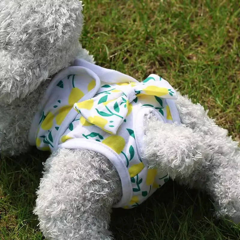 dog-pants-915-1446- (2)